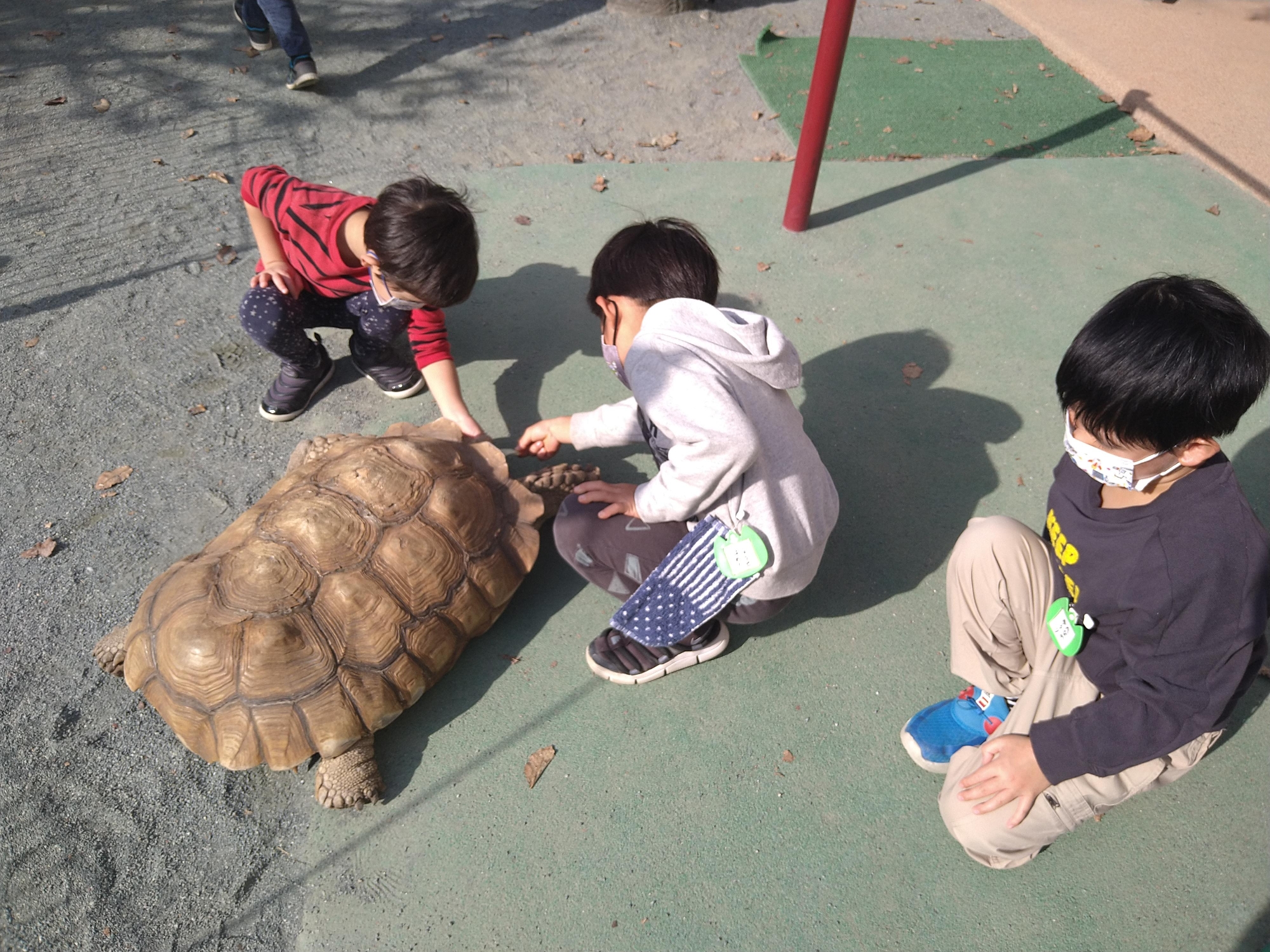 若竹幼稚園 東京都大田区 1人ひとり成長を見守ります 行事の写真